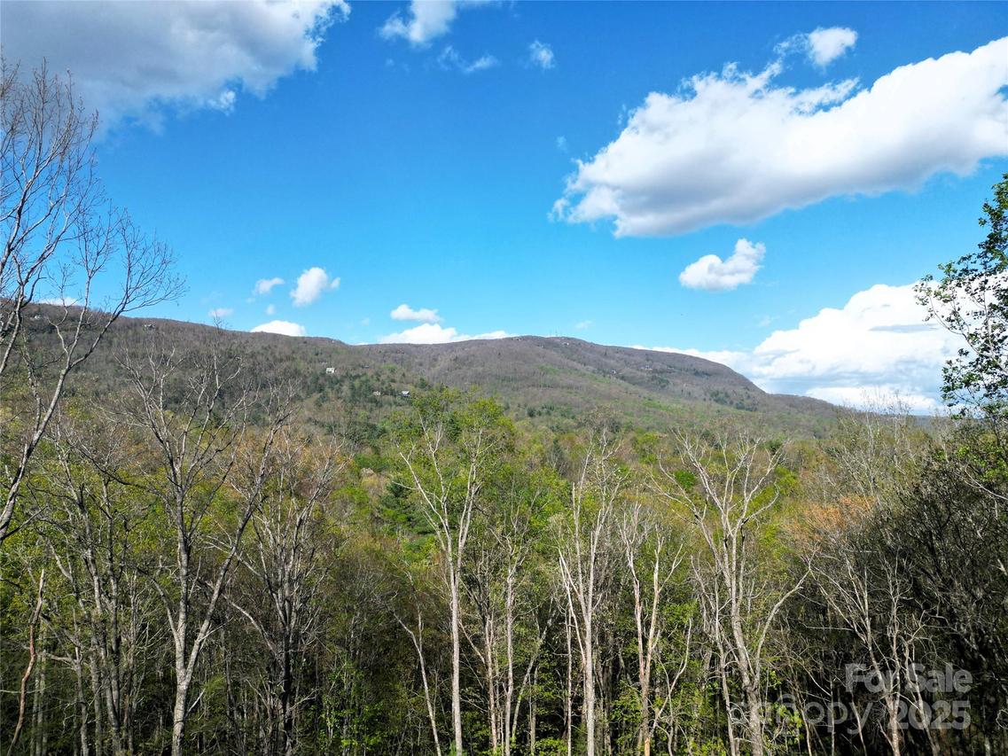 297 Easy Springs Rd., Sapphire, NC 28774