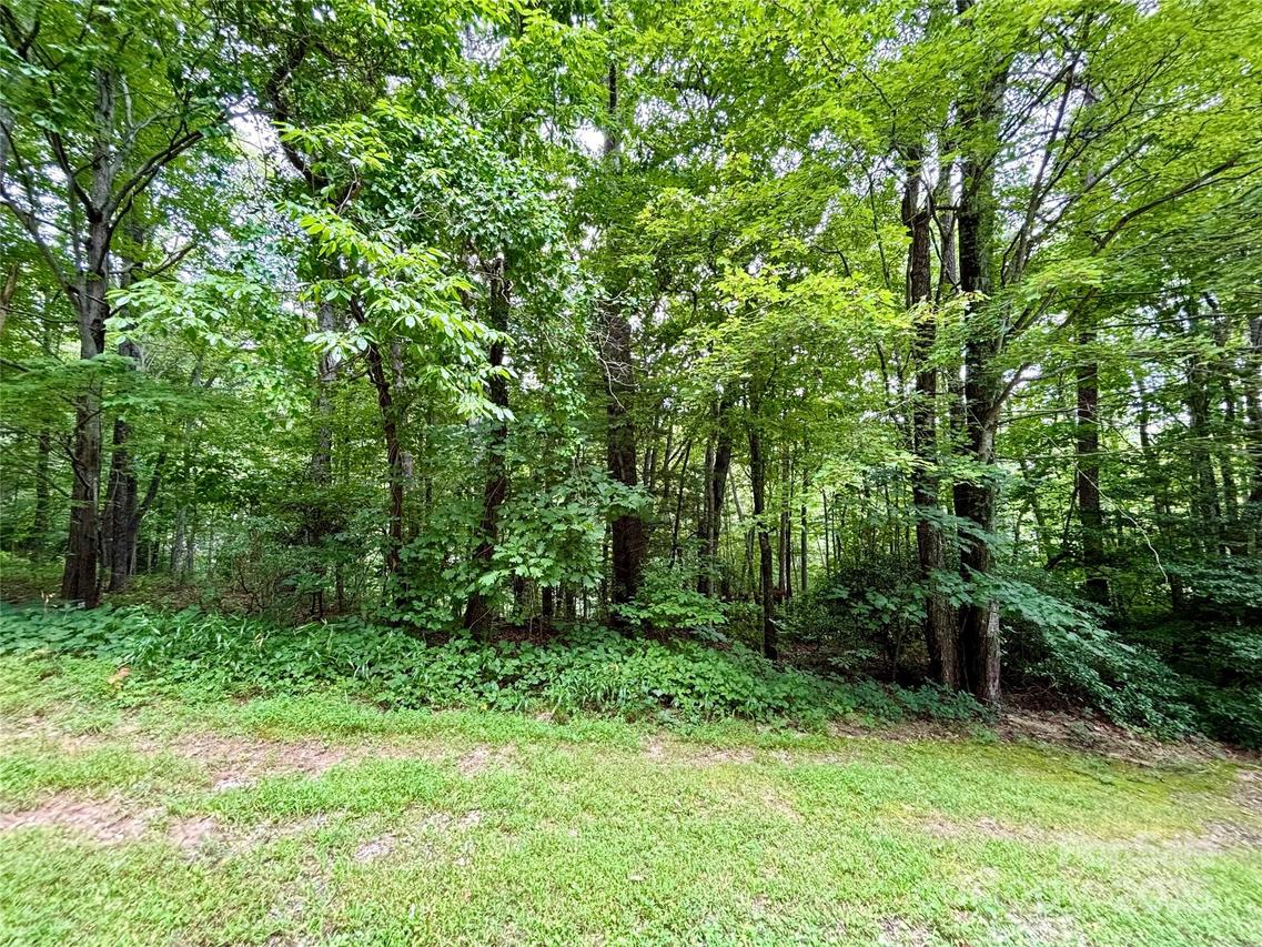 Sunlight Ridge Ct., Hendersonville, NC 28792