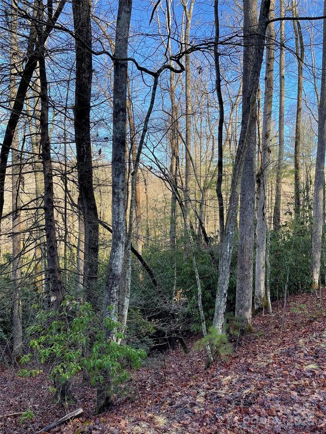 000 Old Ccc Rd., Hendersonville, NC 28739