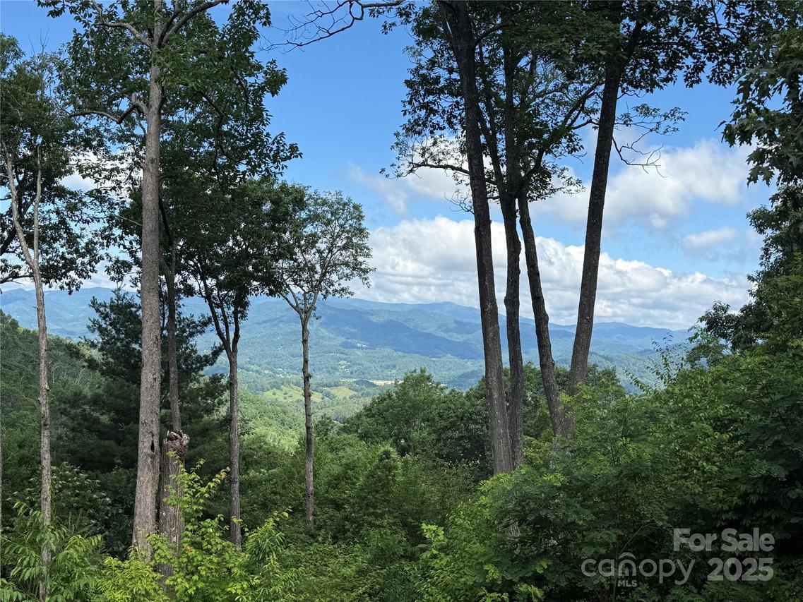 Lot 3 Heritage Ridge Rd. #3/4, Burnsville, NC 28714