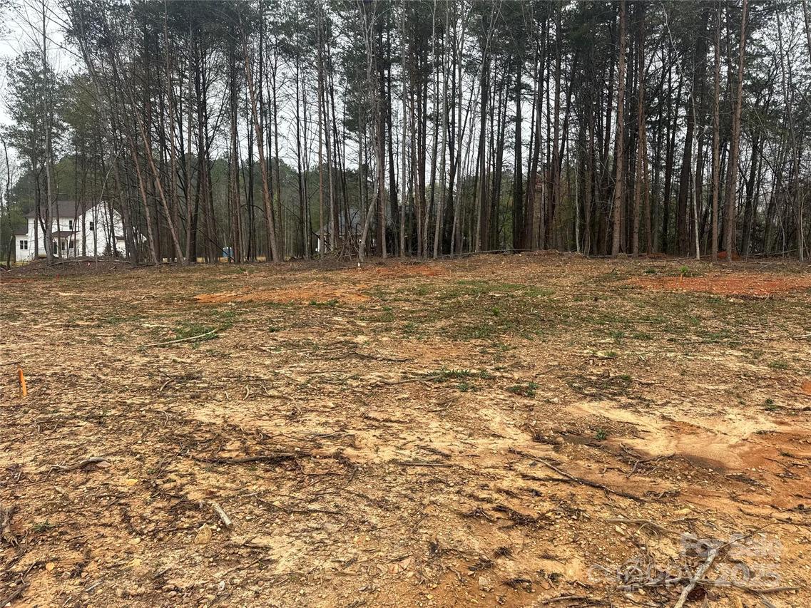 1524 Conestoga Crossing, Catawba, NC 28609