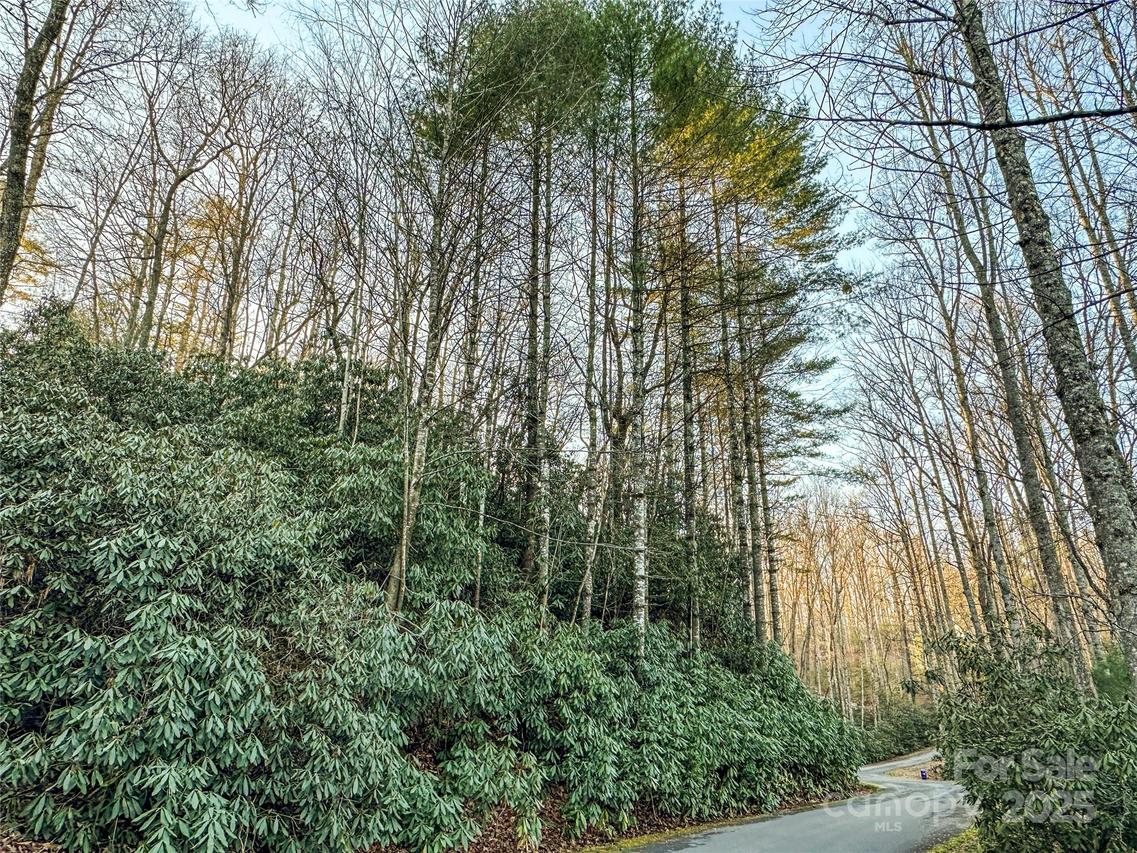 D17 Caroline Ln., Pisgah Forest, NC 28768