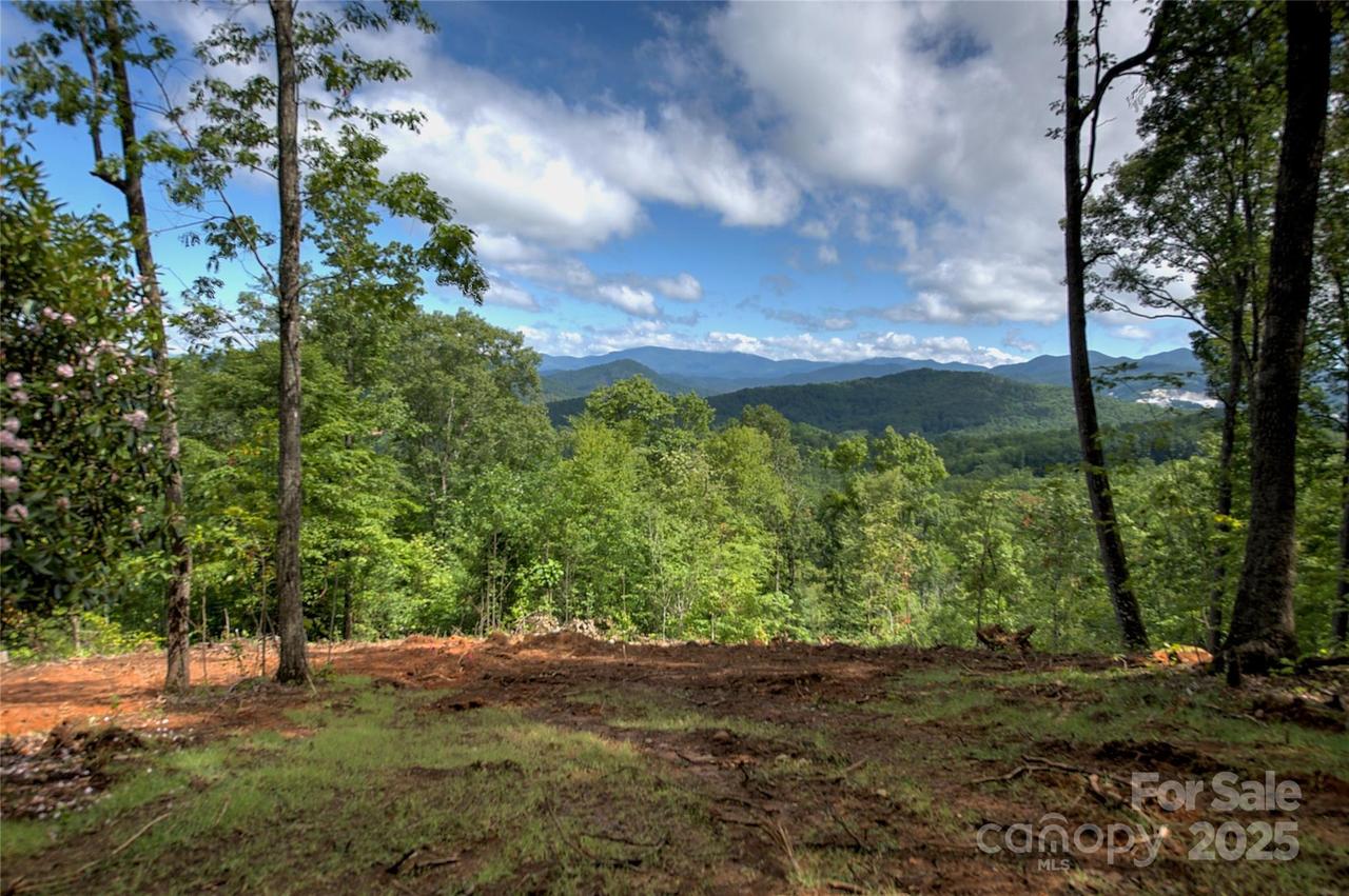 000 Charlie Woody Mountain Rd., Spruce Pine, NC 28777