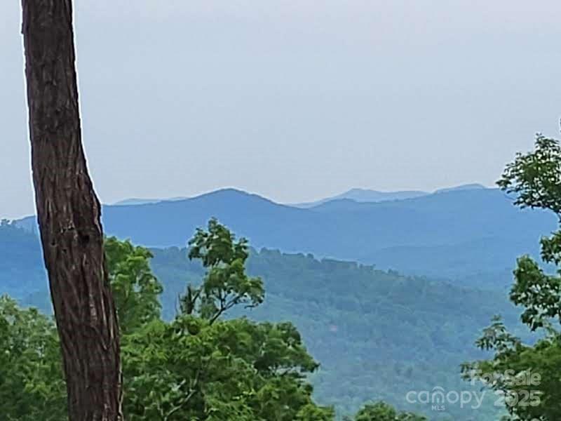 Lot 45 Ridgecrest Dr., Lake Lure, NC 28746