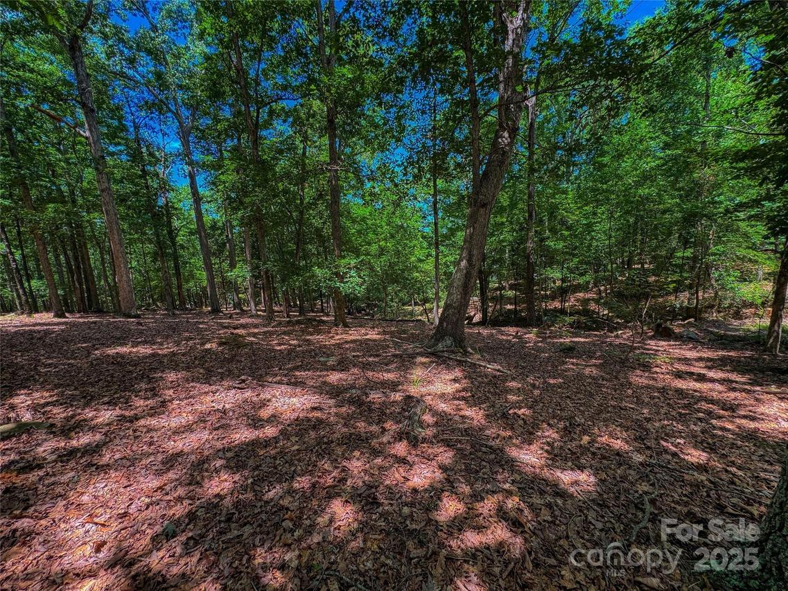 1560 Rocky Cove Ln., Denton, NC 27239