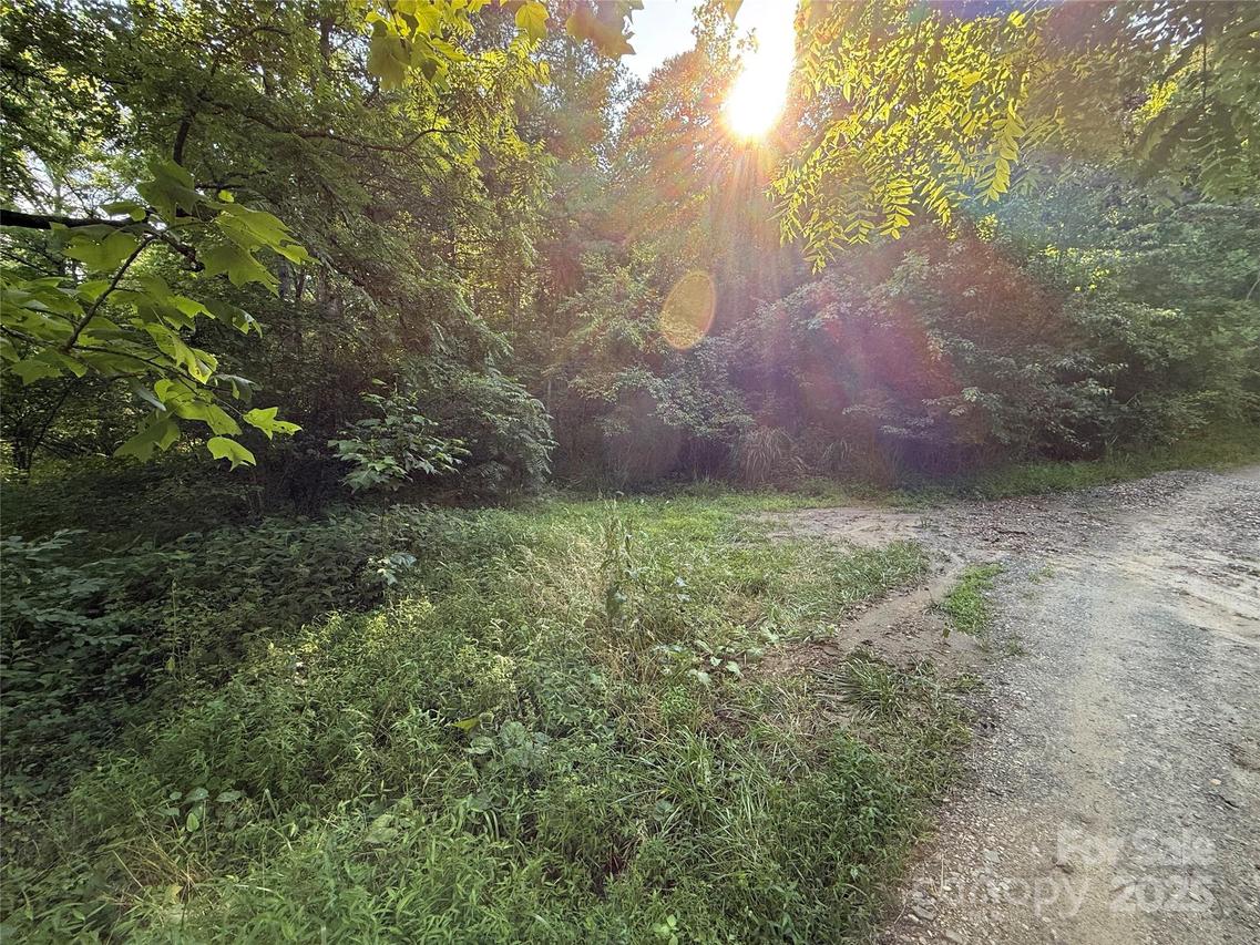 45 Wilde Hollow Dr., Weaverville, NC 28787