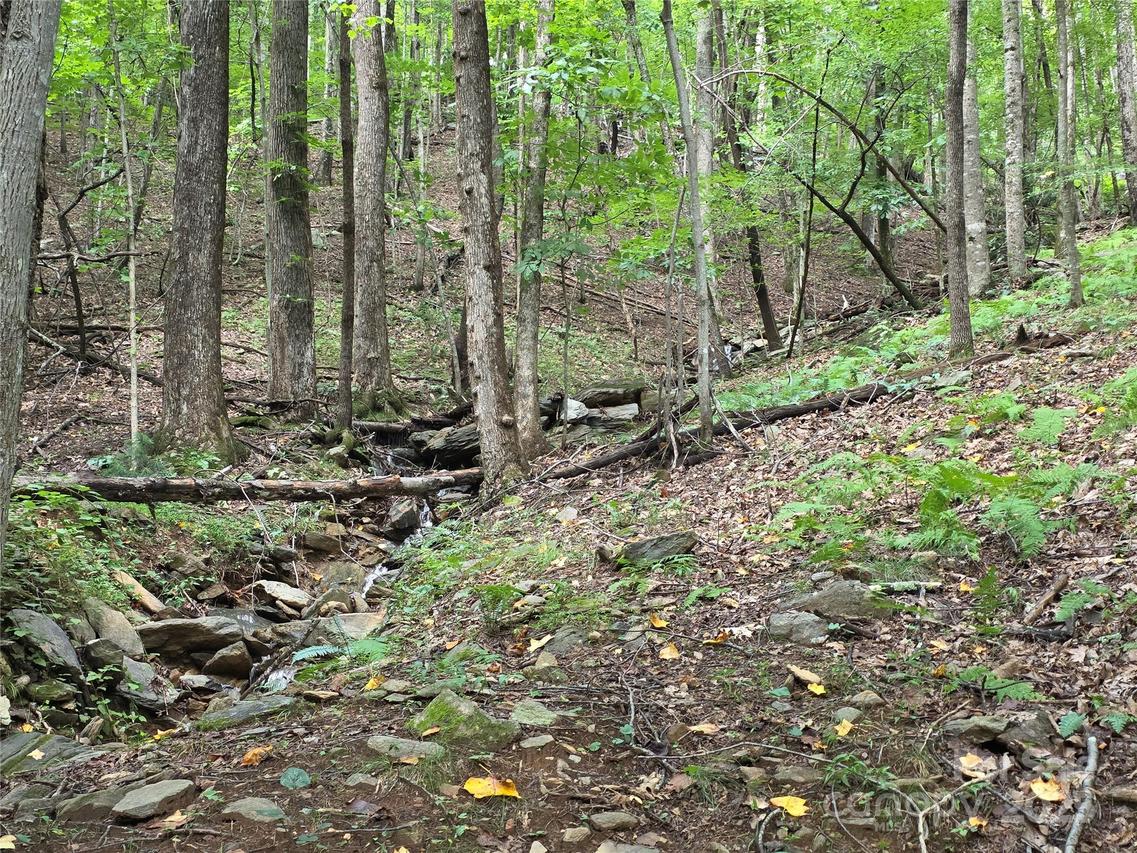 217 High Vista Rd., Mills River, NC 28759