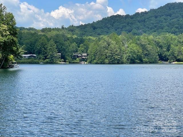Unit 30/L74 Uyasga Ct. #74/30, Brevard, NC 28712