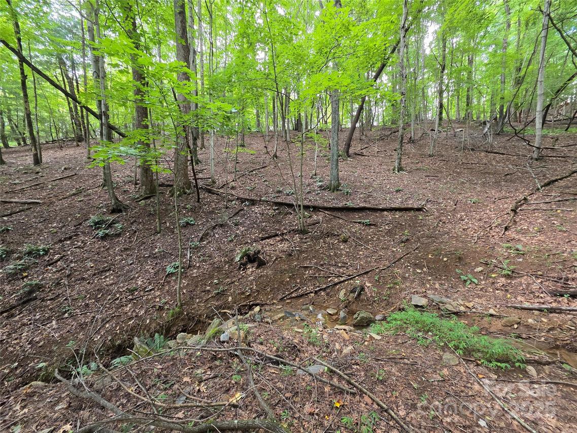 216 High Vista Rd., Mills River, NC 28759