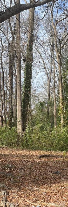 Skipper St., Rockingham, NC 28379