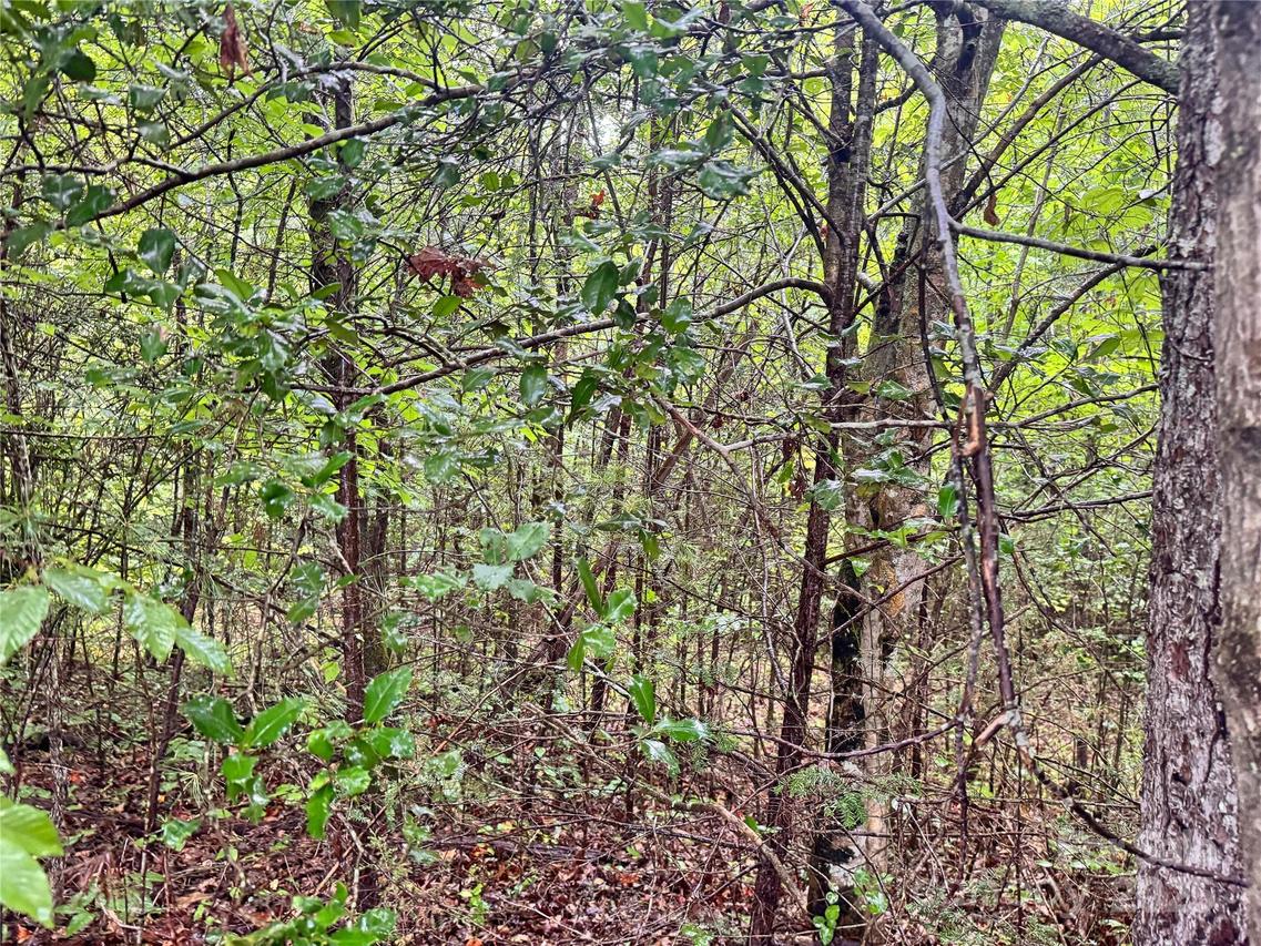 3680 Grandview Dr. #22, Morganton, NC 28655