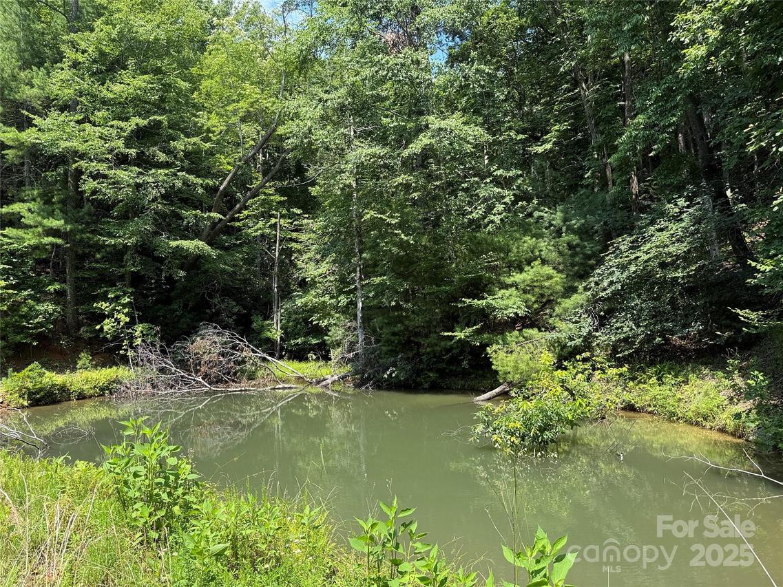 TBD Staghorn Rd., Purlear, NC 28665