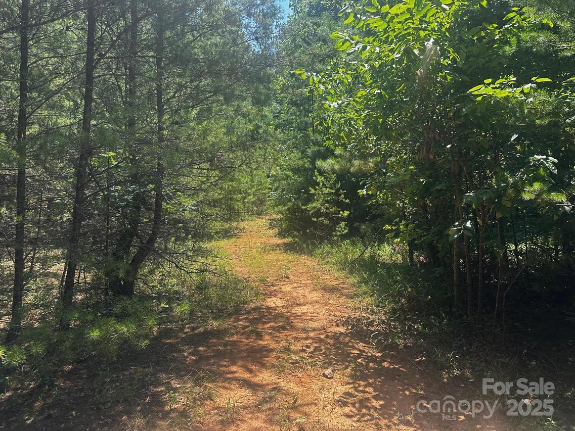 0000 Quail Hill Dr., Rutherfordton, NC 28139