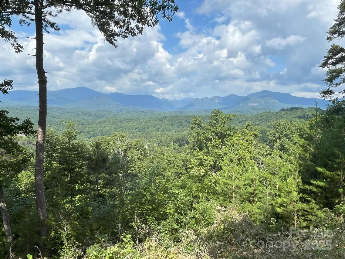 00 Bills Mountain Tr. #6, Lake Lure, NC 28746