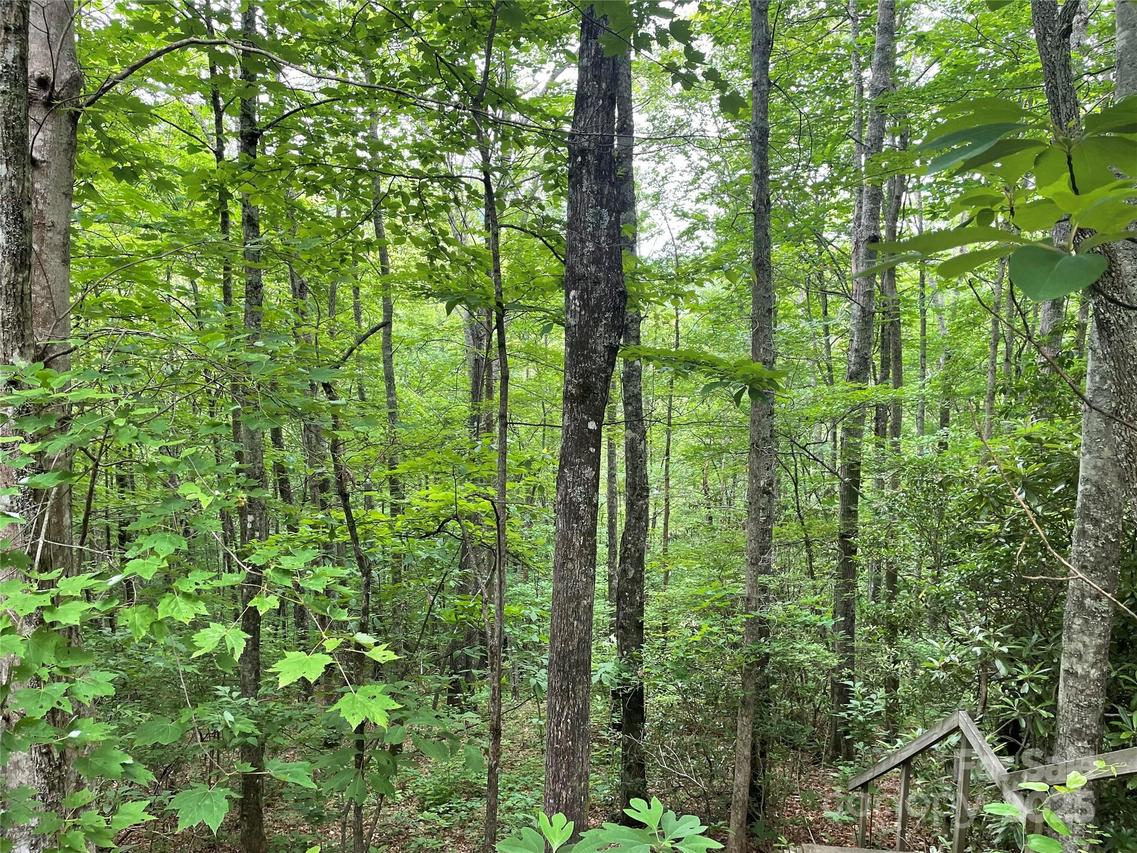 Lt 279 Cabin Flats Rd. #279, Balsam, NC 28707
