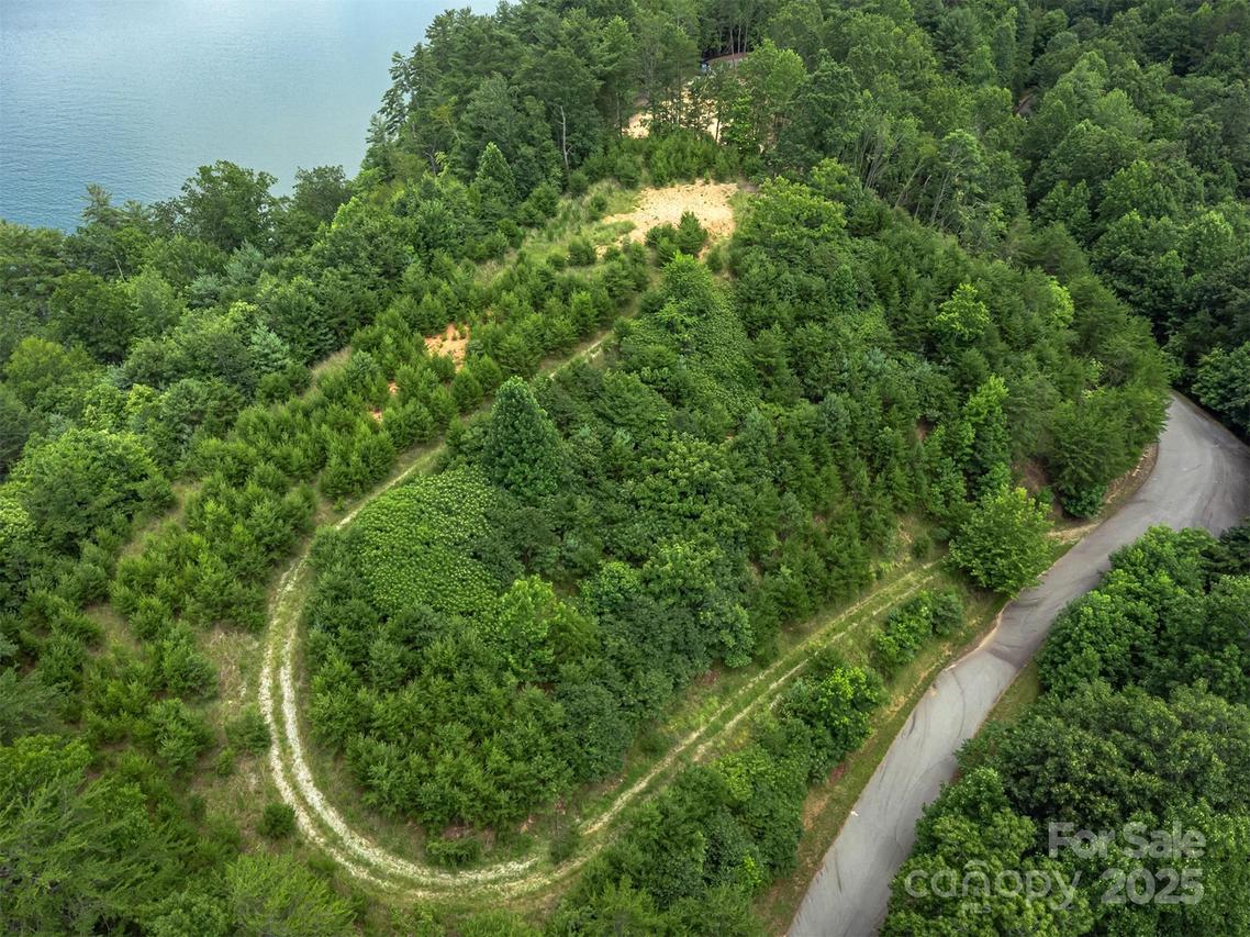 99999 Peninsula Dr., Nebo, NC 28761