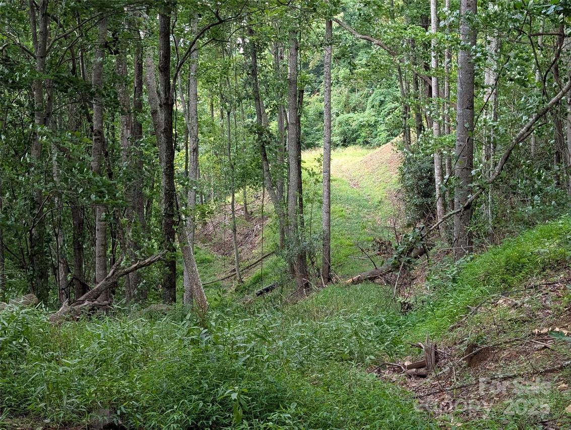 99999 Running Deer Ln. #25, Mars Hill, NC 28754