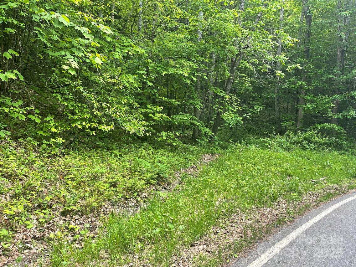 34 Buckeye Creek Rd., Banner Elk, NC 28604