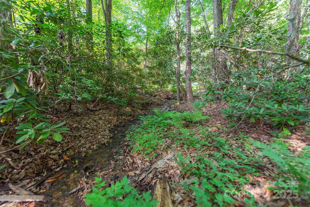 TBD Mecklenburg Cir., Montreat, NC 28757