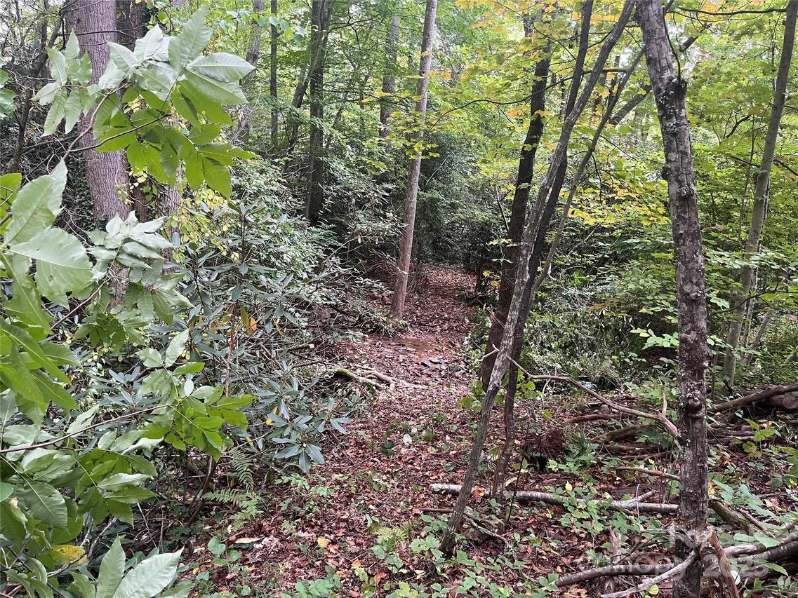 TBD Mecklenburg Cir., Montreat, NC 28757