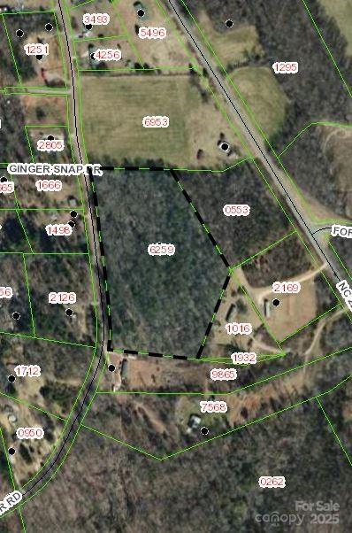 1110 Walker Rd. #9 & 10, Nebo, NC 28761