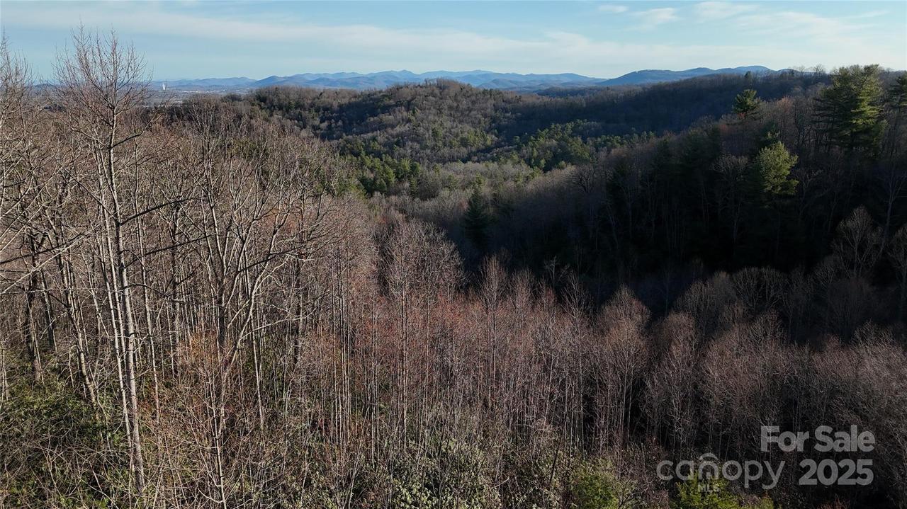 Cummings Ridge Tr. #13, Hendersonville, NC 28739