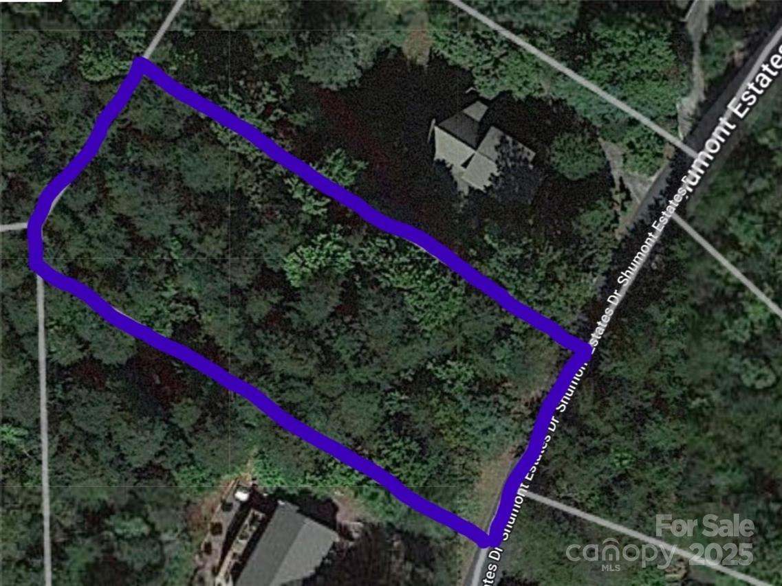 Lot 102 Shumont Estates Dr., Lake Lure, NC 28746