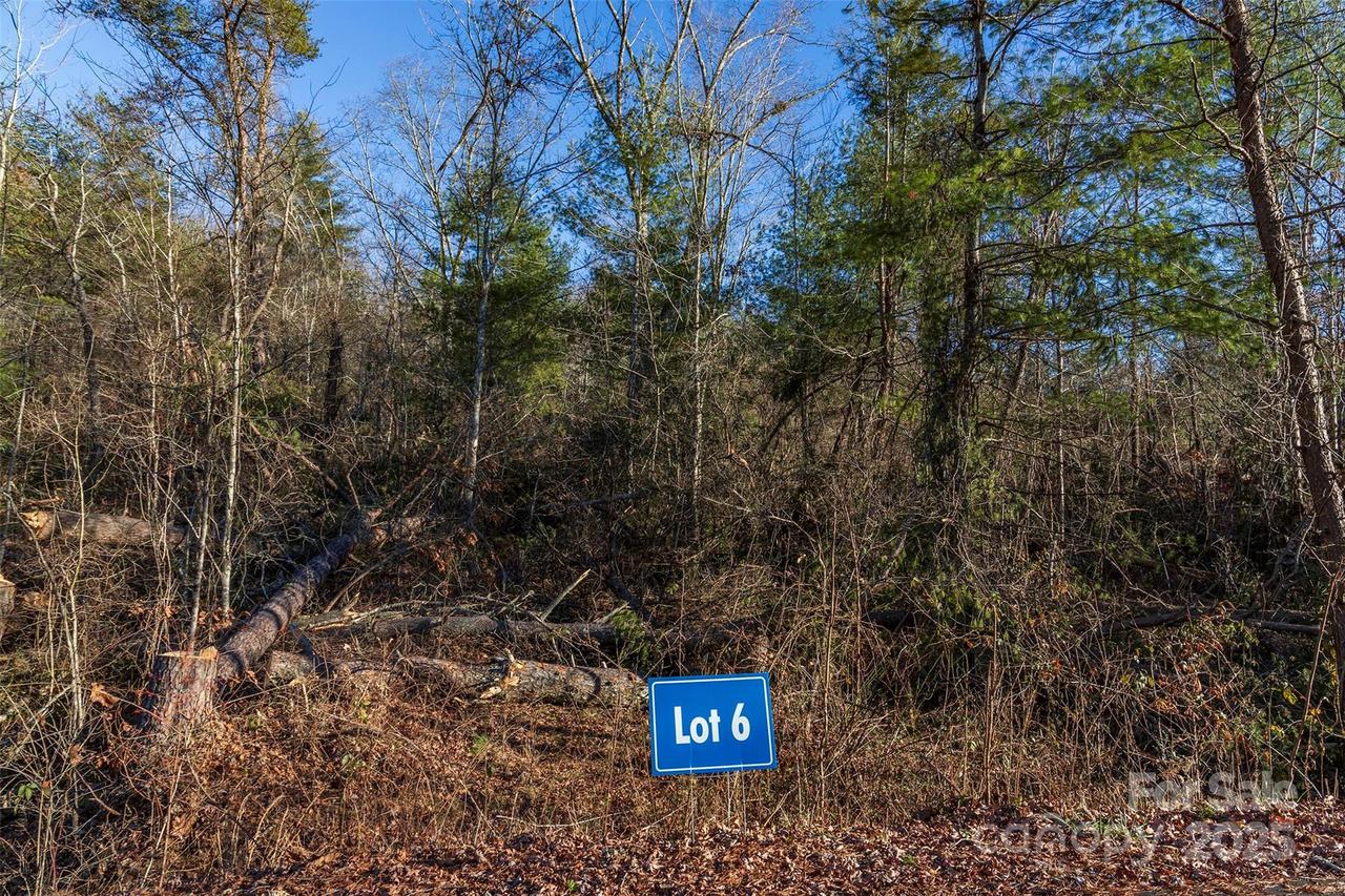 112 Saddle Ridge Dr. #6, Alexander, NC 28701