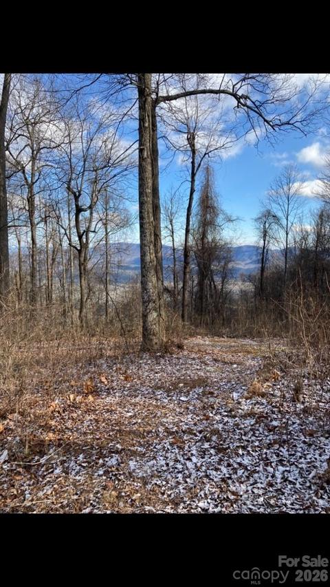 2523 Creston Dr. #T-24, Black Mountain, NC 28711