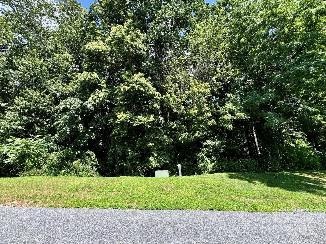 35 Ladys Fern Tr., Hendersonville, NC 28739