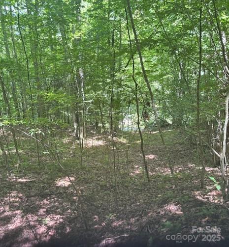 00 Macs Mountain Retreat Ln., Franklin, NC 28734