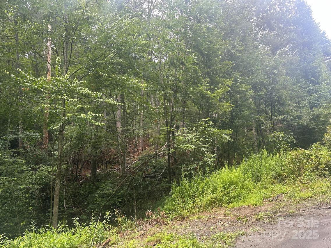 [Address Hidden by Seller], Fleetwood, NC 28626