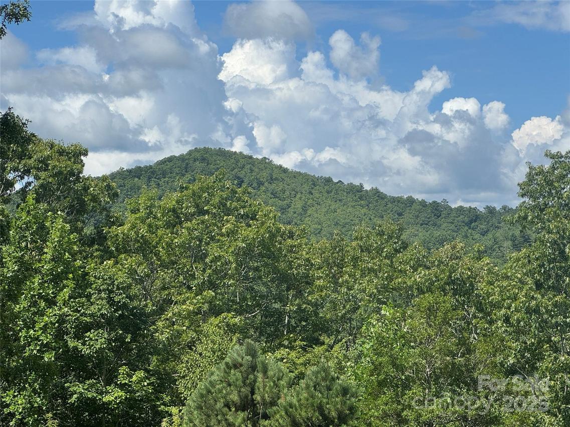 999 Ivy Ln., Pisgah Forest, NC 28768