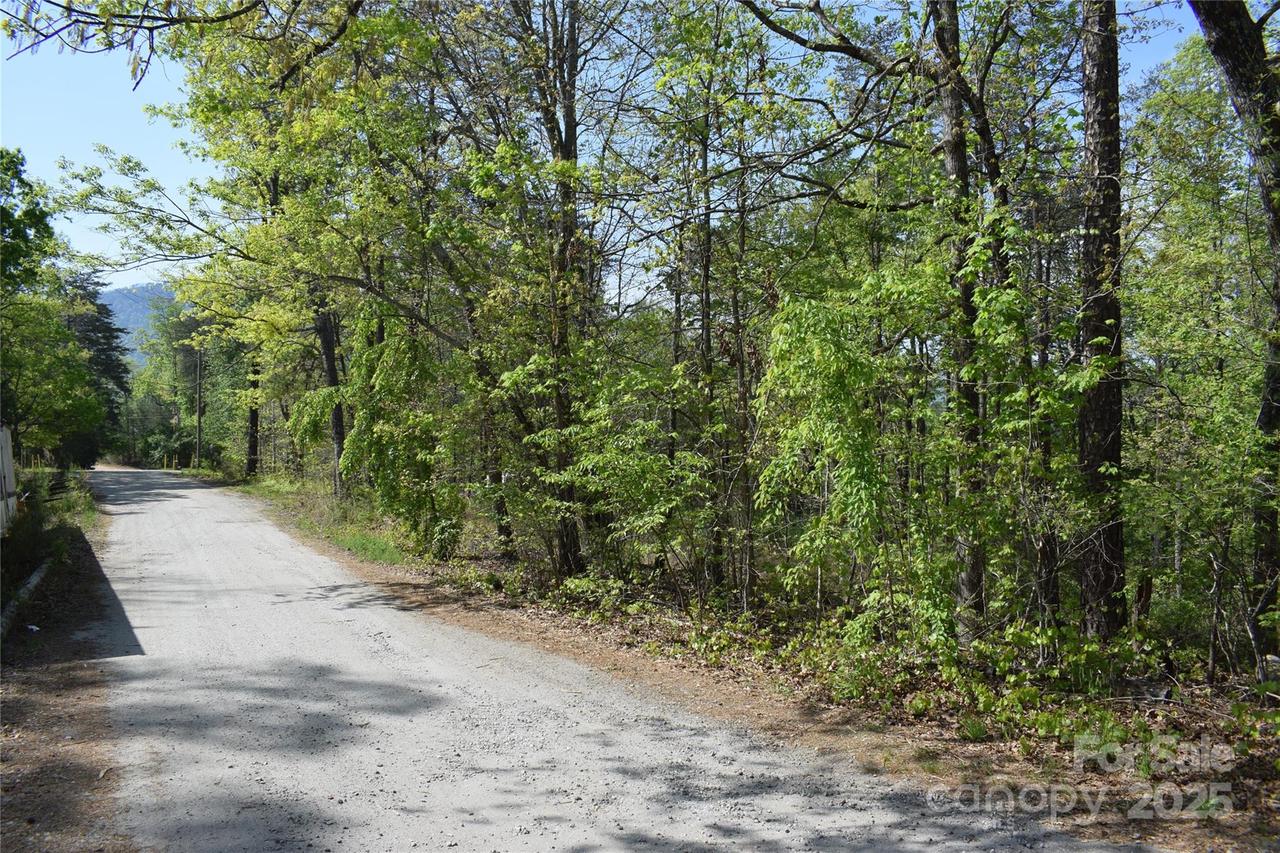 Winter Dr. #Lot 7, Mill Spring, NC 28756