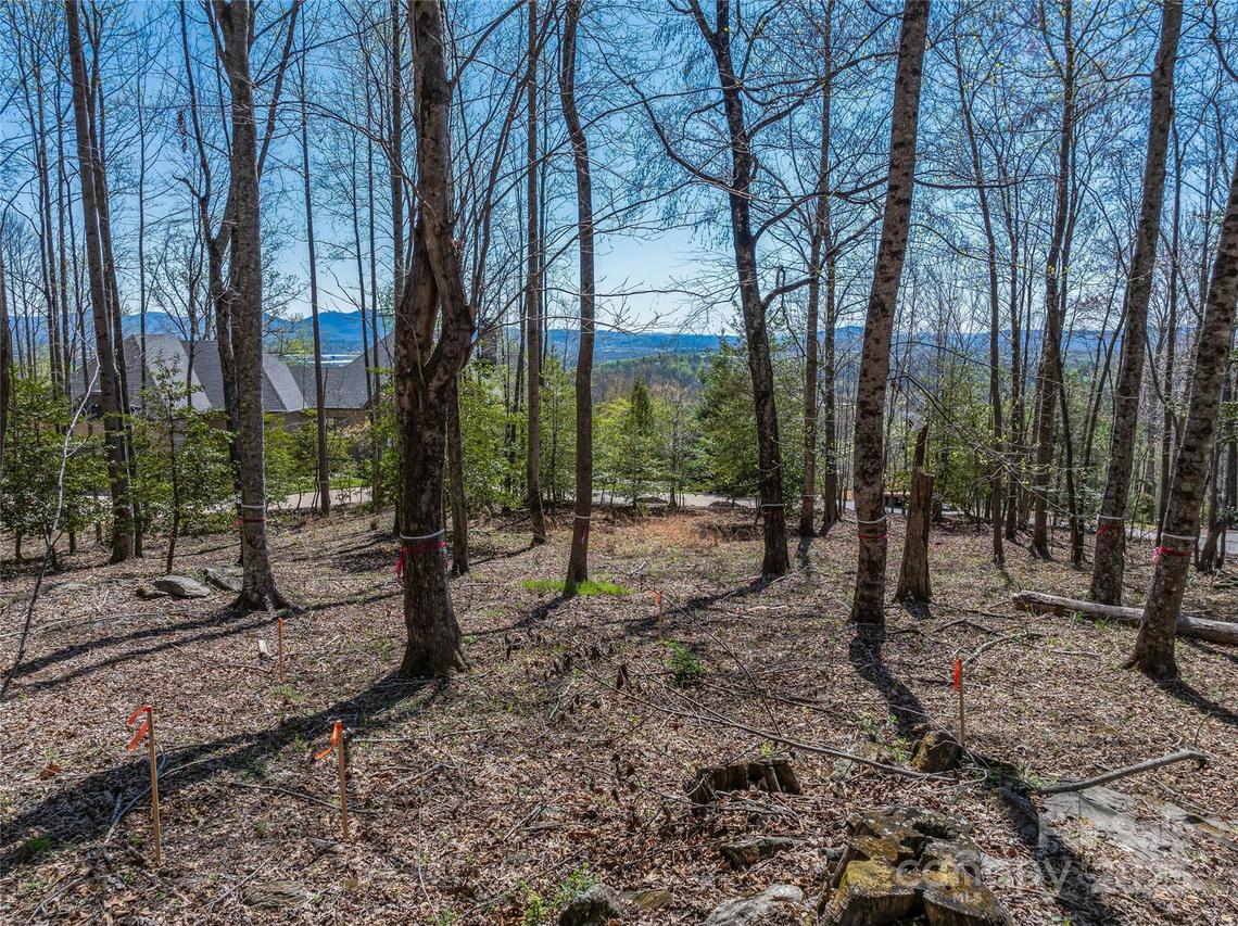 96 Split Rock Tr. #5, Arden, NC 28704