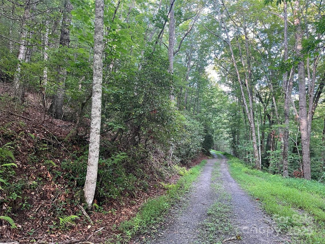 B Old Parker Rd., Lake Toxaway, NC 28747