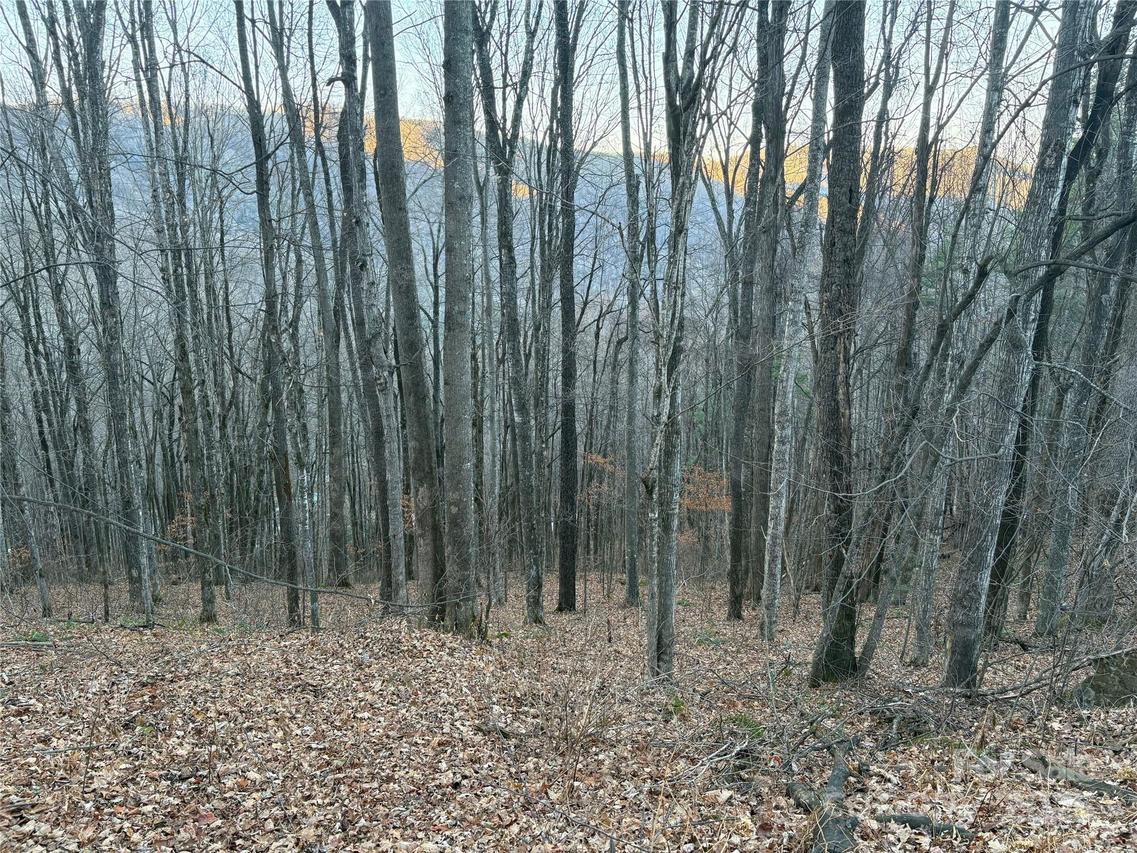 00 Slippery Rock Rd. #306 & 307, Waynesville, NC 28785