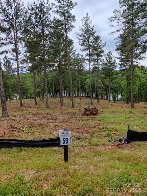 2120 Princeton Mountain None #59, Connelly Springs, NC 28612