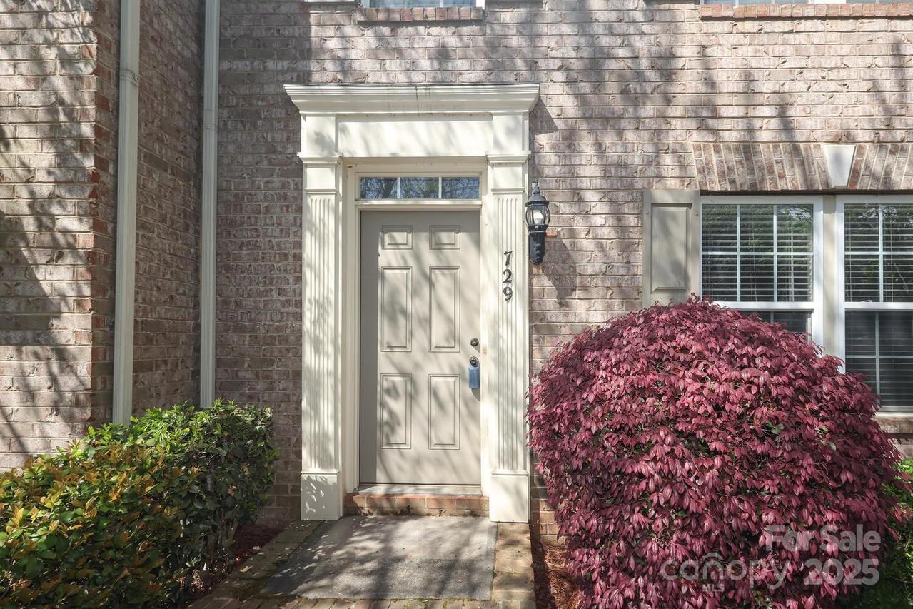 729 Naramore St., Davidson, NC 28036