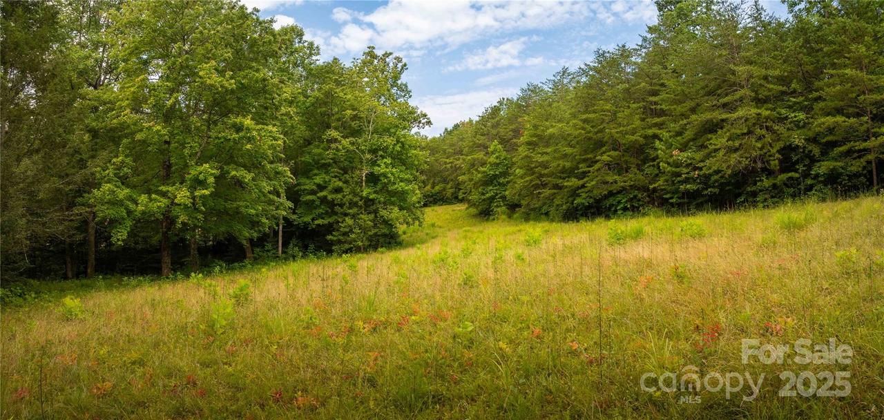 99999 Lavender Rd., Old Fort, NC 28762