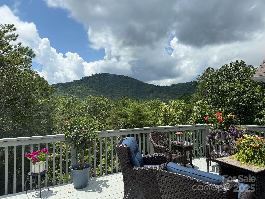 36 Lynx Dr., Black Mountain, NC 28711