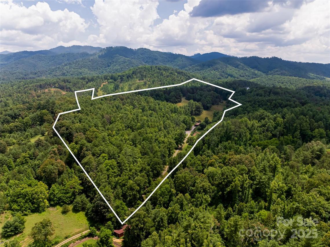 25 Elkins Branch Rd. #1, Weaverville, NC 28787