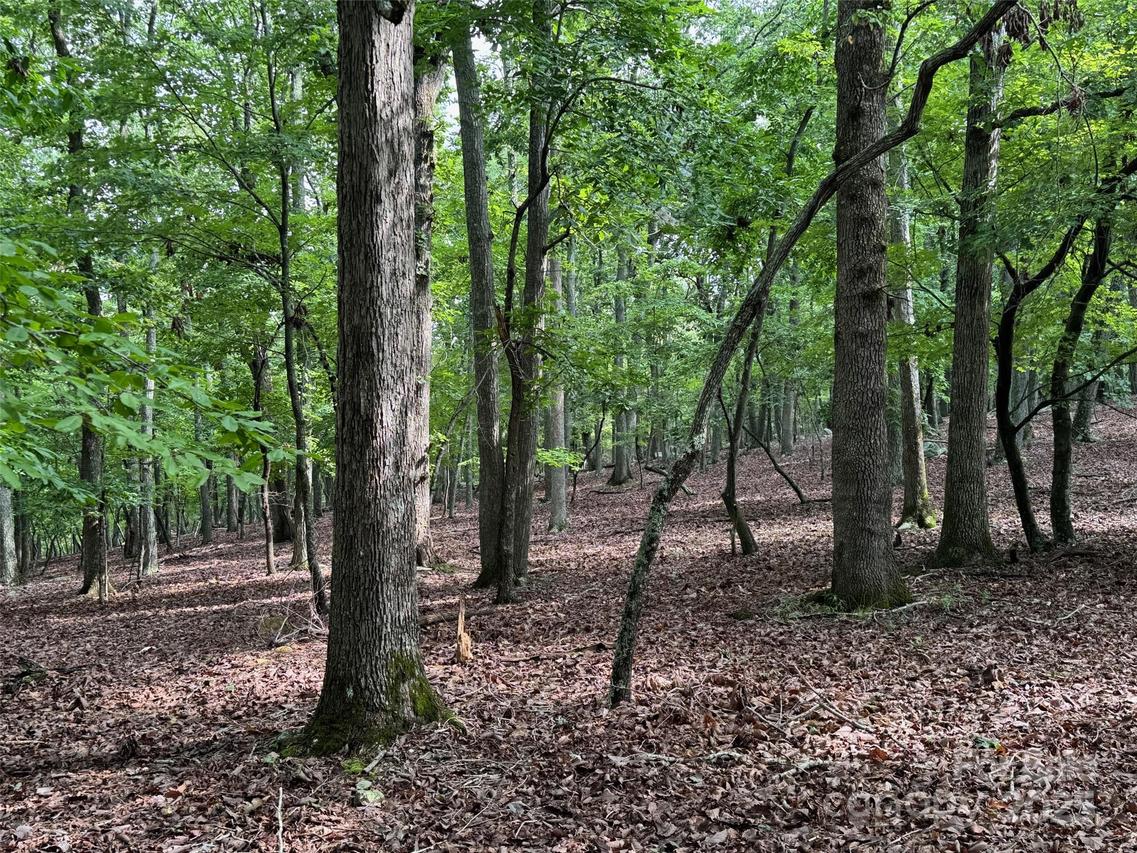 1695 Sierra Trace Rd., Denton, NC 27239