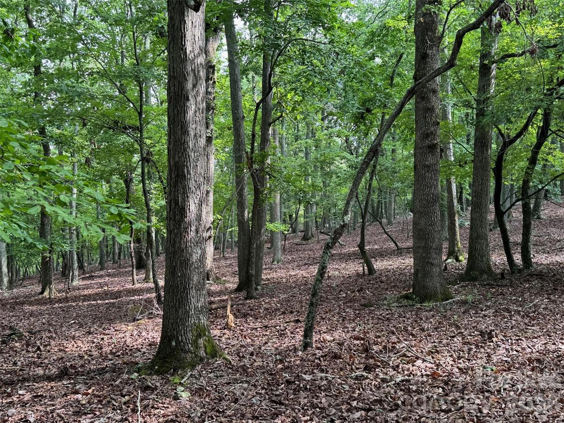 1695 Sierra Trace Rd., Denton, NC 27239