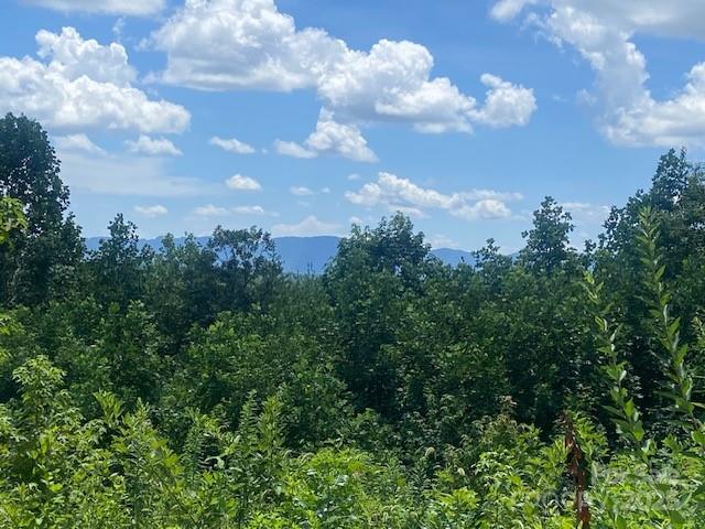 Lemon Ln., Morganton, NC 28655