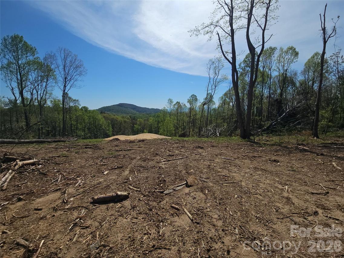 620 Dancing Bear Dr. #195, Hendersonville, NC 28792