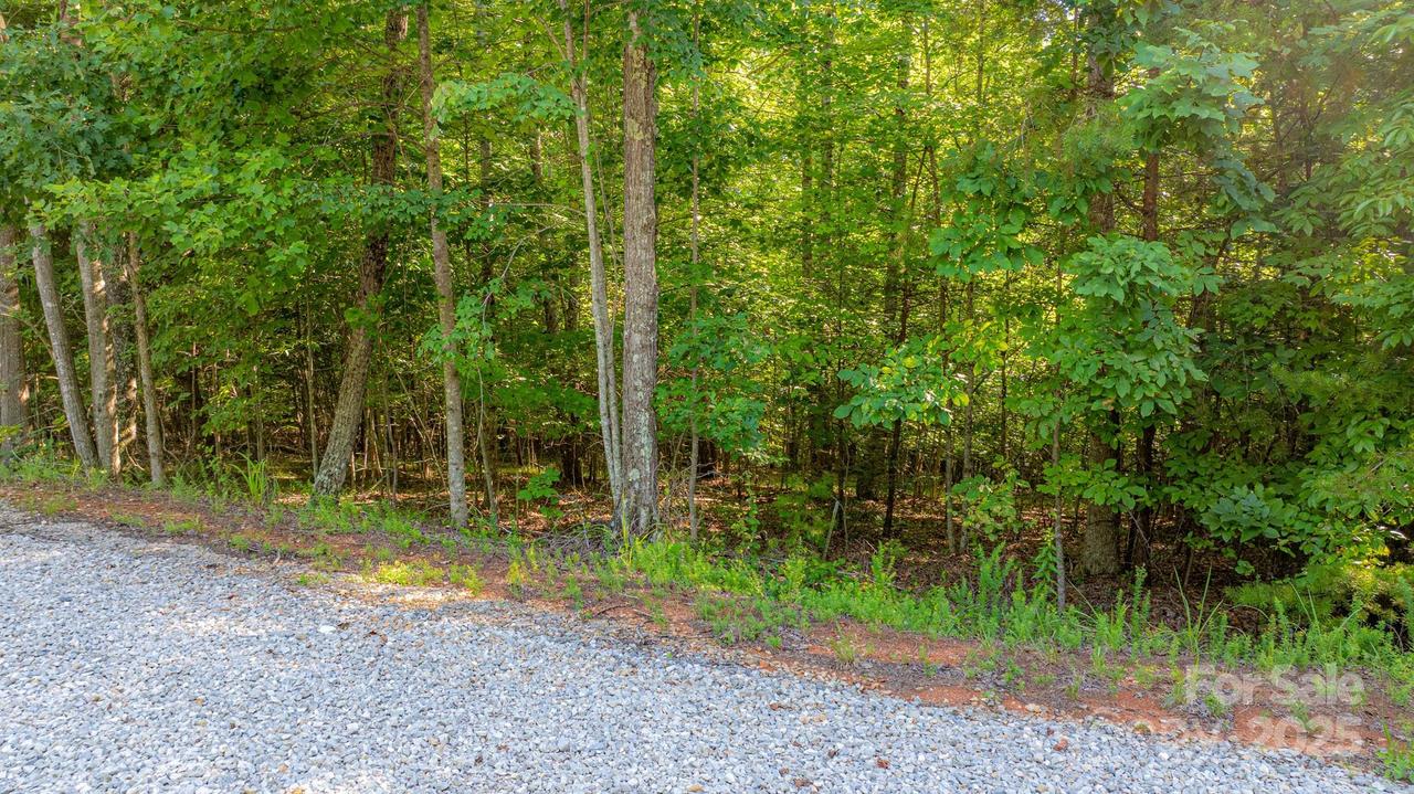 TBD Dirksen Ave. #62, Nebo, NC 28761