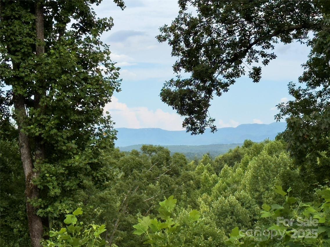 V/L Black Lark Dr. #178, Marion, NC 28752