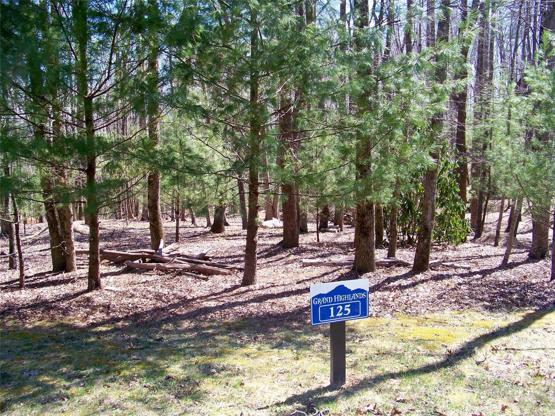 125 Thunder Mountain Rd., Hendersonville, NC 28792