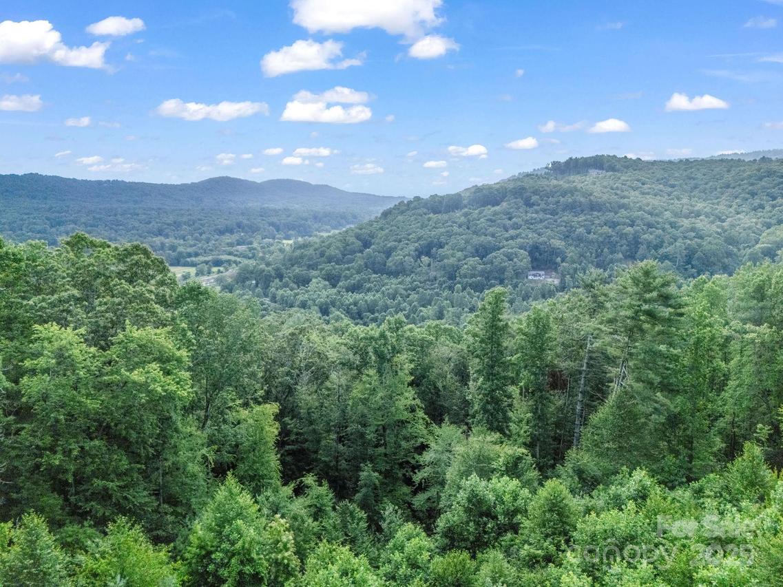 TBD Davenport Hills Rd., Hendersonville, NC 28739